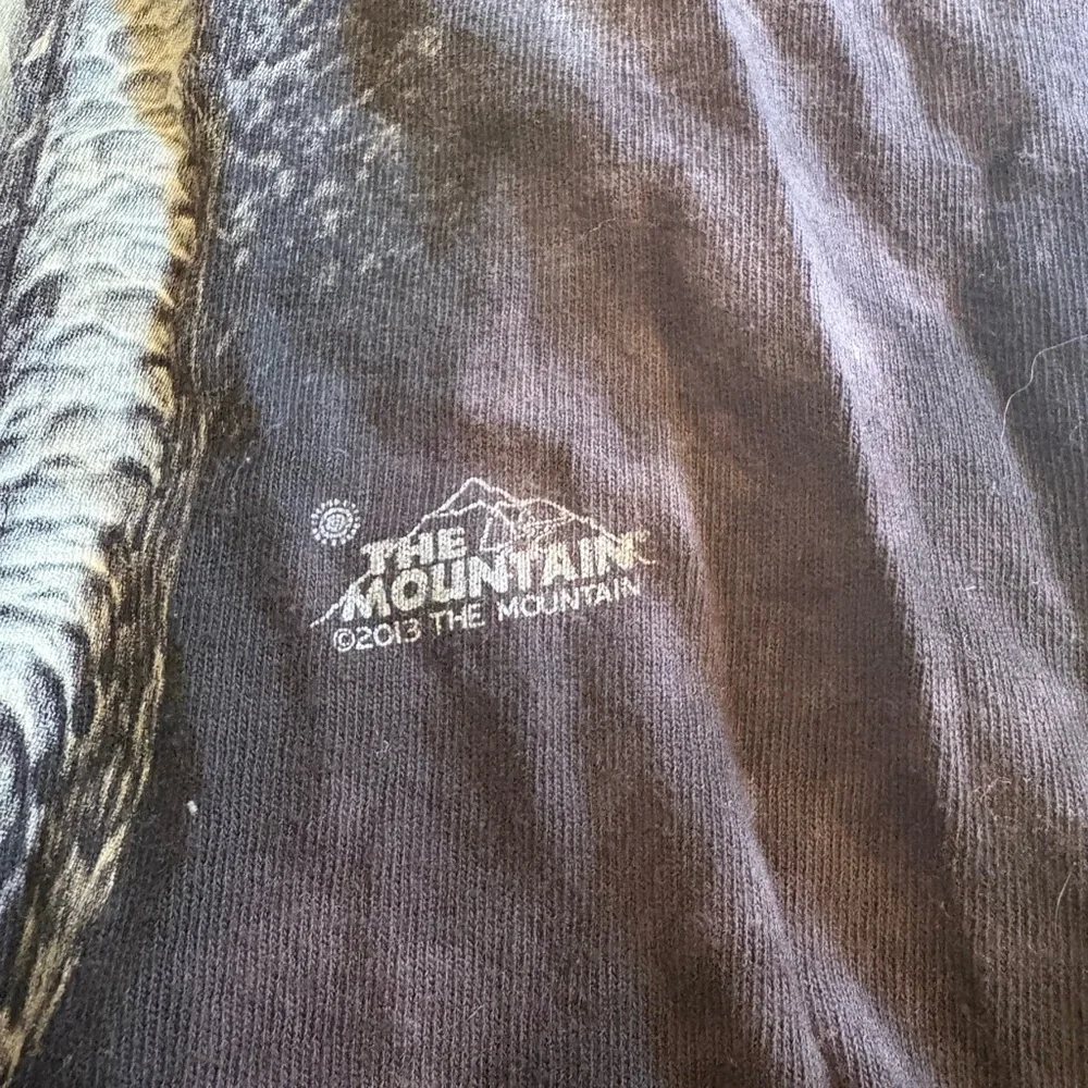 The Mountain Earthy Dinosaur Tee - Picture 2 of 3
